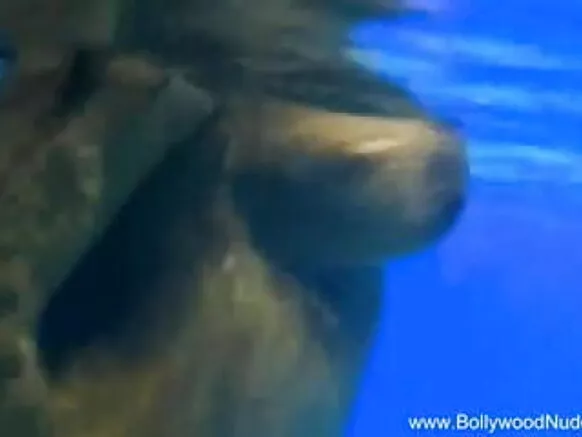 नयो प्रेम नृत्य नीलो छवि सेक्सी पाणी