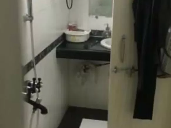 देसी पिल्लाडा सिंत