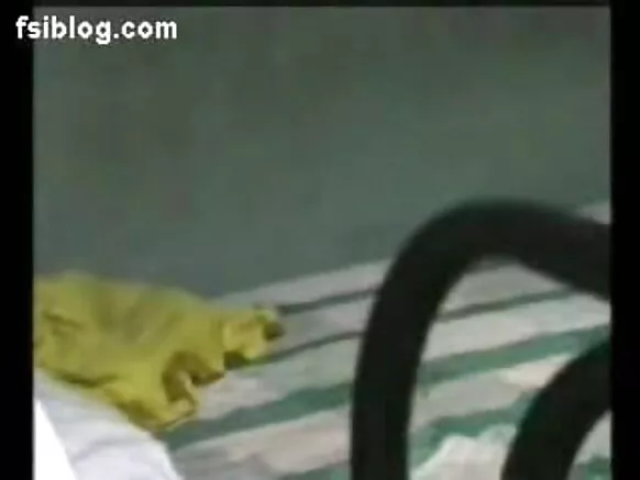 भारतीय भारतीय भारतीय सेक्सी ड्यूरियस नोवियो मूवी