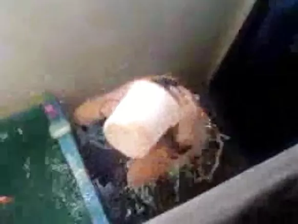 दो नौकरानी सेक्सी शो रै मांय दृश्यरतिक बौछार दिखावै है