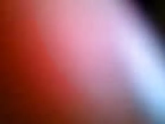 सेक्सी जानवर सेक्सी नकली सेक्स वीडियो