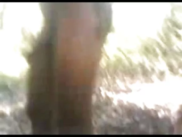 देसी बीपी सेक्स फोटो में पकड़ी गई छोरी और दोस्त