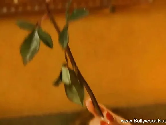 अंग्रेजी नीली वीडियो रै मांय भारतीय प्रेमी अकेलो होग्यो