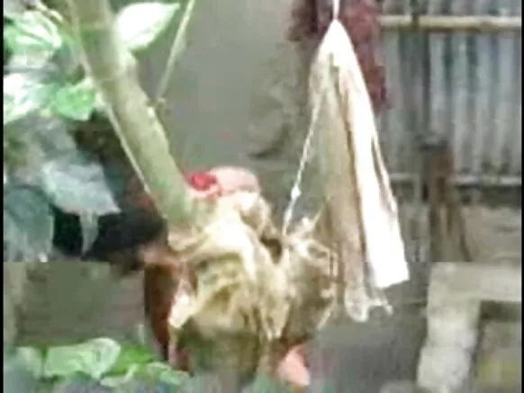 देसी छोरी स्नान देसी आउटडोर सेक्स मूवी वीडियो आउटडोर