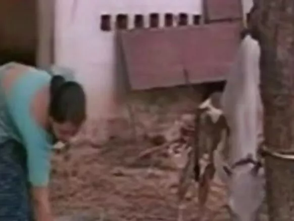 भारतीय मोबाइल मूवी में देविका hd हिंदी सेक्सी मूवी