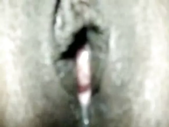 देसी भाभी देसी x x x हिंदी फोटो भाभी क्रीमपाई