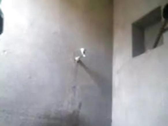 बंगला छोरी 29 देख छुपा कैमरो बाय मोबाइल चचेरा भाई सेक्सी वीडियो हिंदी